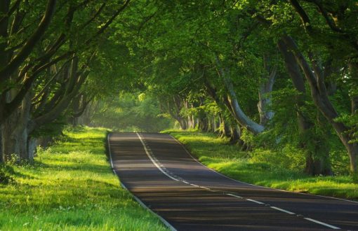 بهترین منطقه سهیلیه کرج