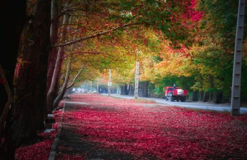 جاهای دیدنی تهراندشت