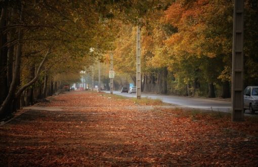 ویلای ارزان در سرخاب