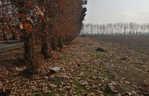 قیمت زمین در کردان کرج