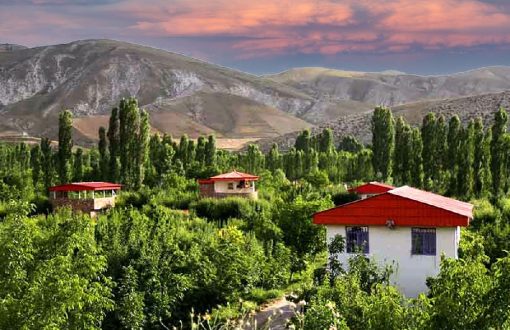 بهترین جای کردان برای خرید ویل