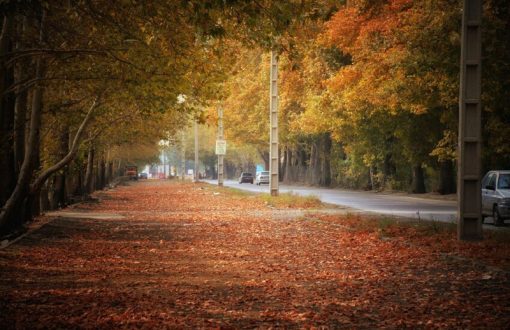 سرخاب کجاست