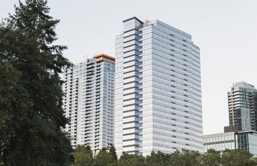 پروژه ستین چیتگر